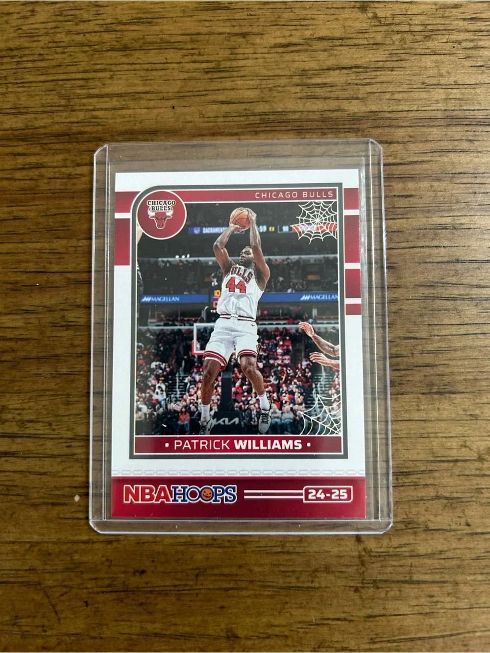 Panini nba haunted